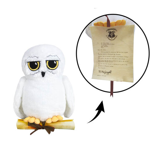 HARRY POTTER OWL with letter T300 23cm