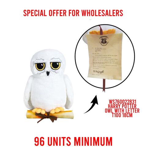 HARRY POTTER OWL with letter T100 18cm